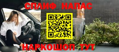 гашик Краснознаменск