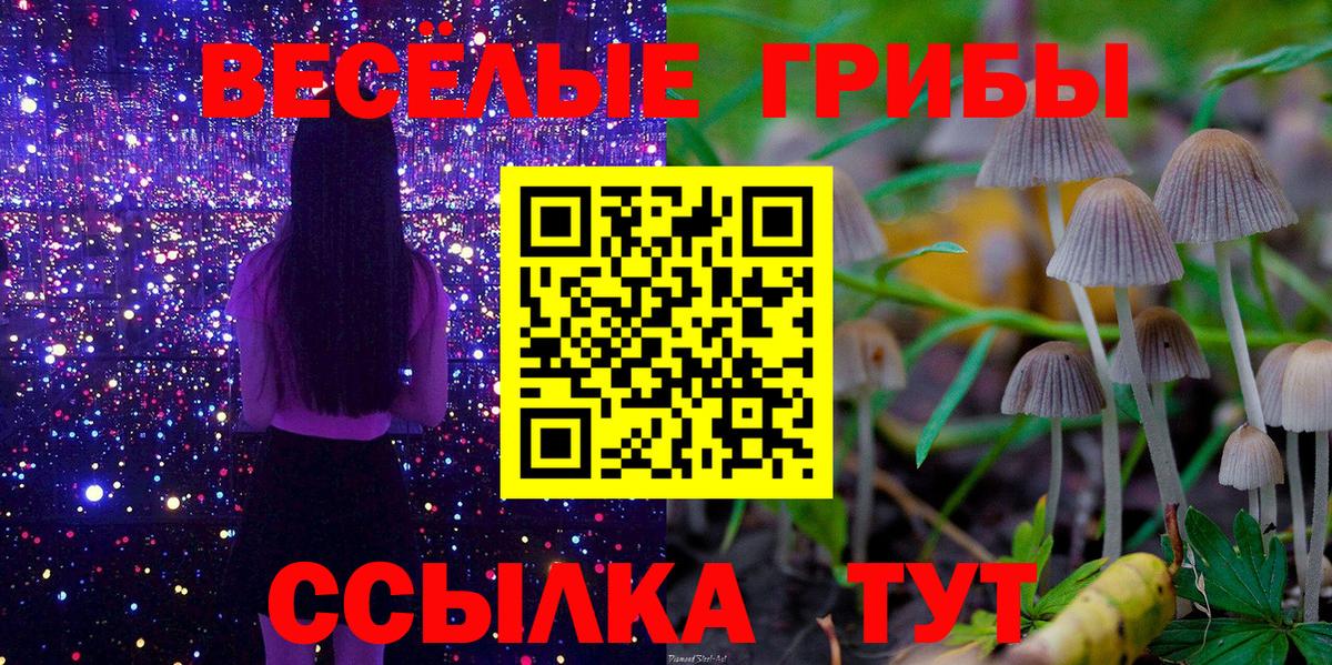 продажа наркотиков  Псилоцибиновые грибы мицелий  Зерноград  Вход с VPN  Галлюциногенные грибы GOLDEN TEACHER 