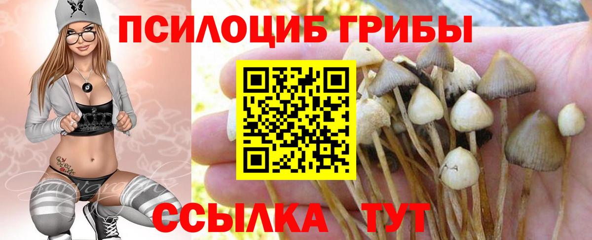 Галлюциногенные грибы мицелий Зерноград